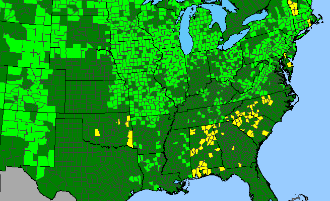 The range of Symphyotrichum concinnum